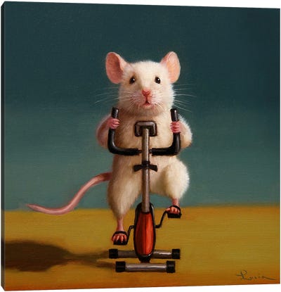 Gym Rat Spin Canvas Art Print - Mouse Art
