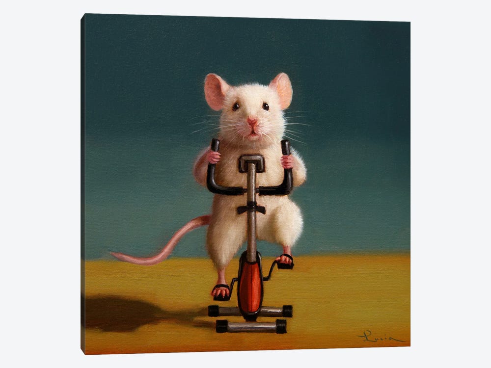 Gym Rat Spin by Lucia Heffernan 1-piece Art Print