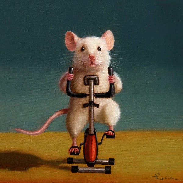 Rodents: Gym Rat Spin by Lucia Heffernan