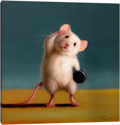 Gym Rat Standing Oblique Crunch Canvas Art Print - Rodent Art