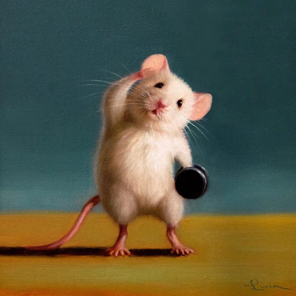 Rodents: Gym Rat Standing Oblique Crunch by Lucia Heffernan
