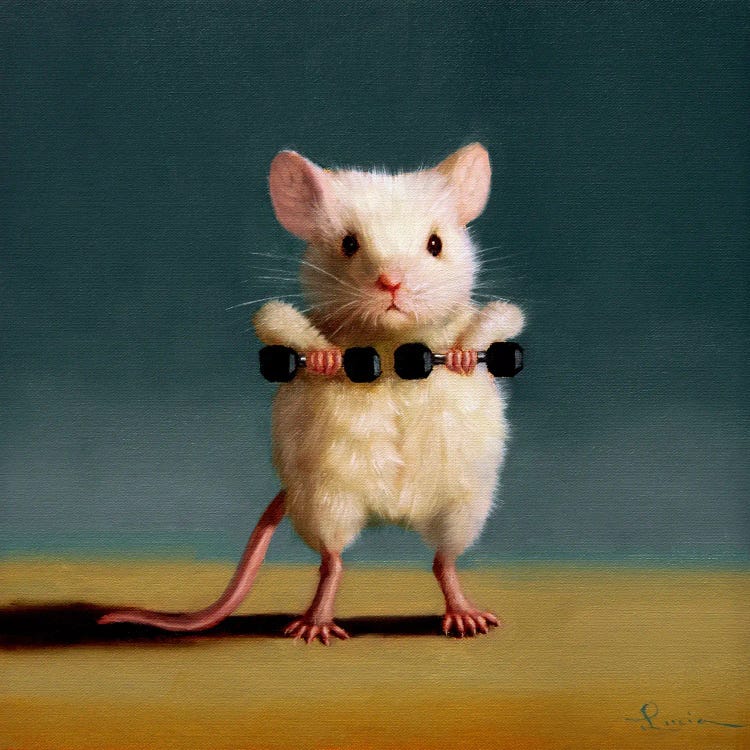 Gym Rat Upright Row by Lucia Heffernan wall art