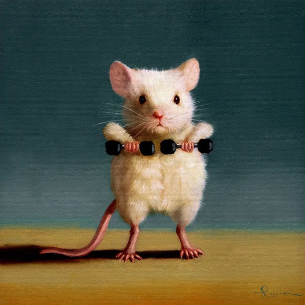 Rodents: Gym Rat Upright Row by Lucia Heffernan