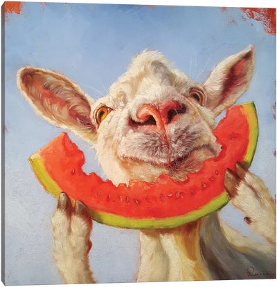 Summer Treat Canvas Art Print - Goat Art
