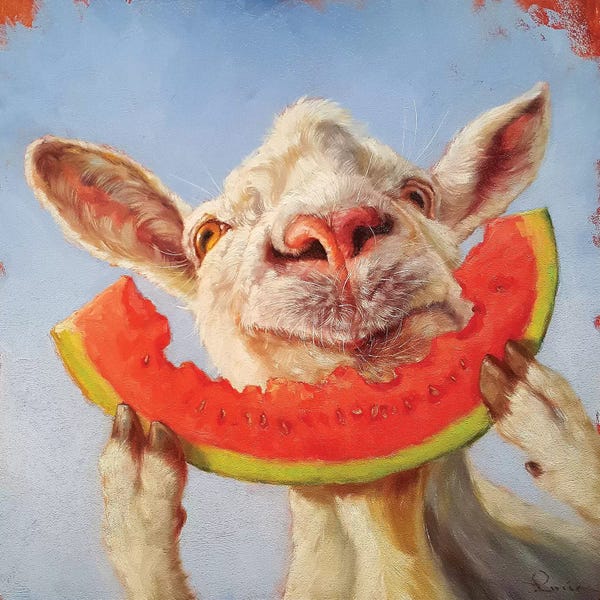 Modern Farmhouse Décor: Summer Treat by Lucia Heffernan