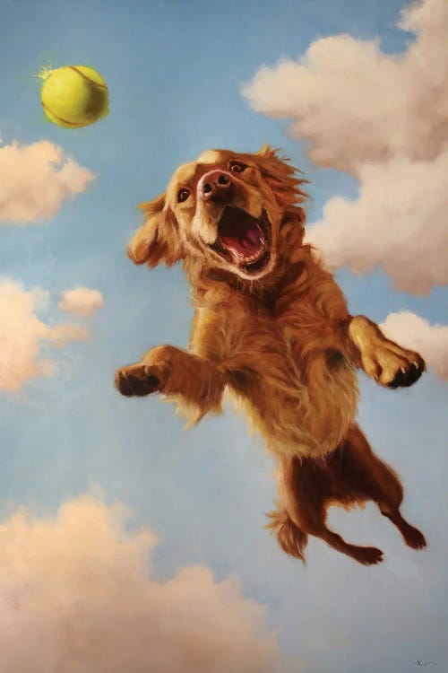 Fetch by Lucia Heffernan wall art