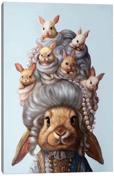 Full Head of Hares Canvas Art Print - Lucia Heffernan