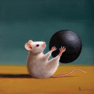 Gym Rat Grab And Pass by Lucia Heffernan art print