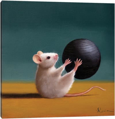 Gym Rat Grab And Pass Canvas Art Print - Lucia Heffernan