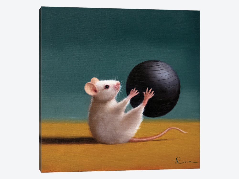 Gym Rat Grab And Pass by Lucia Heffernan 1-piece Canvas Art