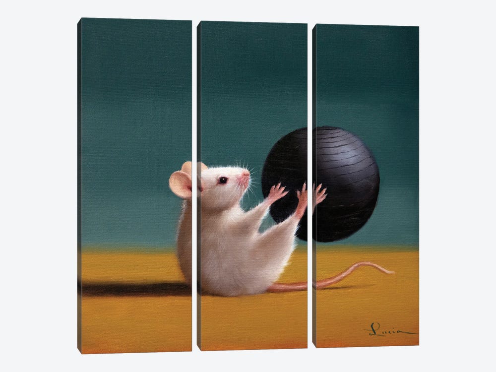 Gym Rat Grab And Pass by Lucia Heffernan 3-piece Canvas Wall Art