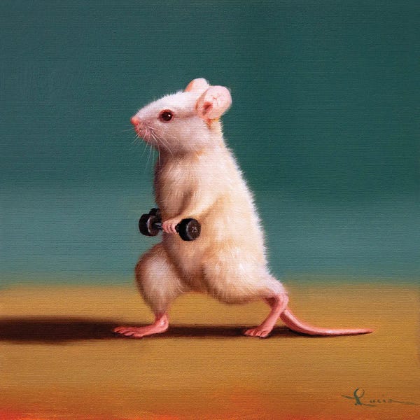 Rodents: Gym Rat Dumbbell Lunge by Lucia Heffernan