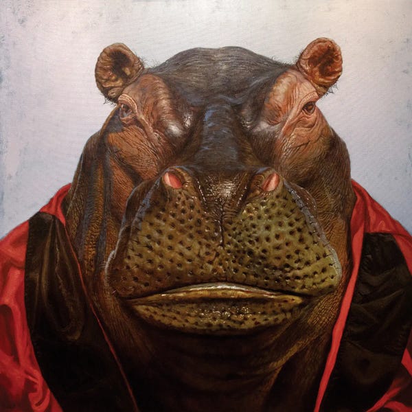 Hippopotamuses: Heavy Weight by Lucia Heffernan