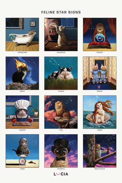 Astrology: Feline Star Signs by Lucia Heffernan