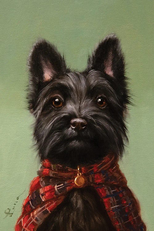The Scot by Lucia Heffernan wall art