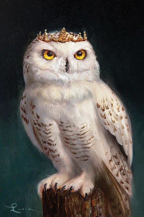 Owl King II by Lucia Heffernan wall art