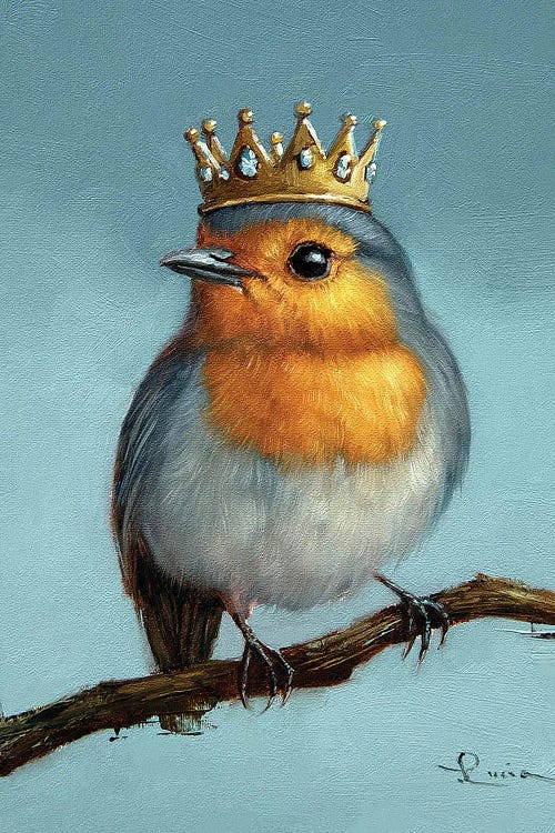 Royal Robin by Lucia Heffernan wall art