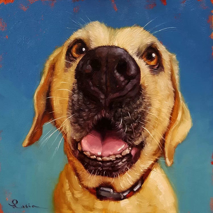 Follow Your Nose II by Lucia Heffernan wall art