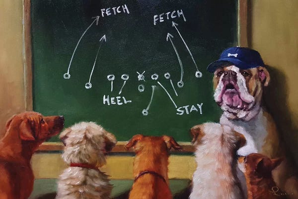Bulldogs: Game Plan by Lucia Heffernan