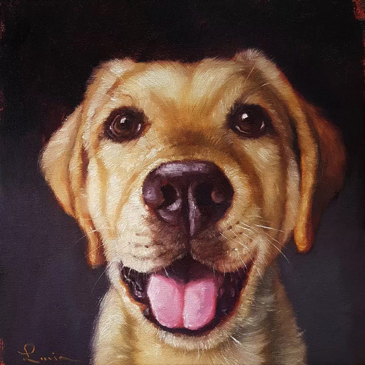 Follow Your Nose XIII by Lucia Heffernan wall art