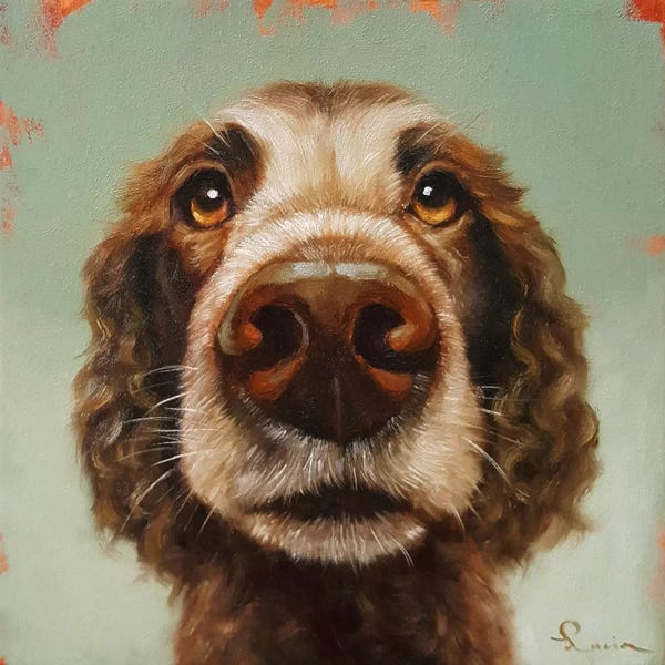 Lucia Heffernan: Follow Your Nose XIV by Lucia Heffernan