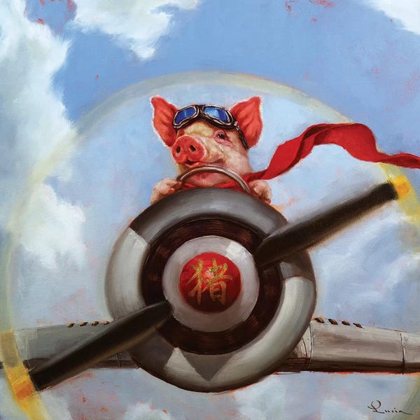 By Air: When Pigs Fly by Lucia Heffernan