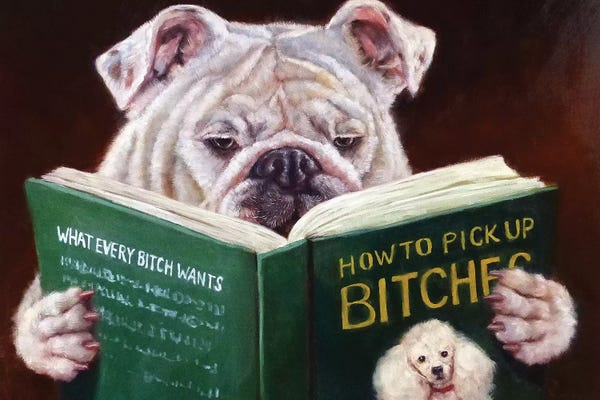 Pet Obsessed: Casanova by Lucia Heffernan