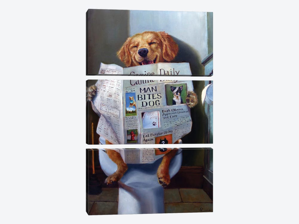Dog Gone Funny by Lucia Heffernan 3-piece Canvas Art Print