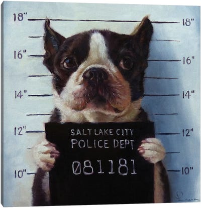 Mug Shot Canvas Art Print - Boston Terriers