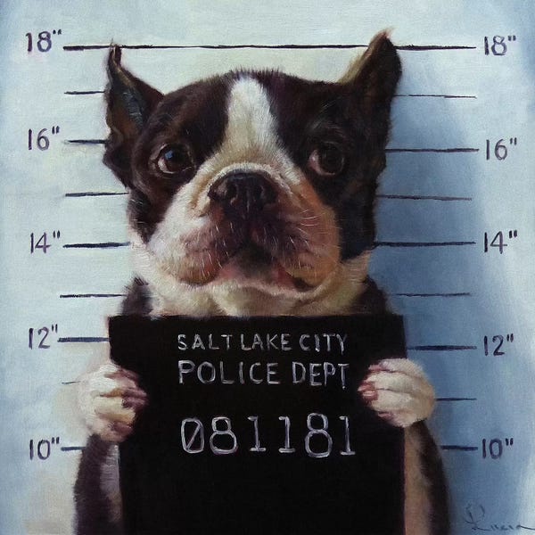 Lucia Heffernan: Mug Shot by Lucia Heffernan