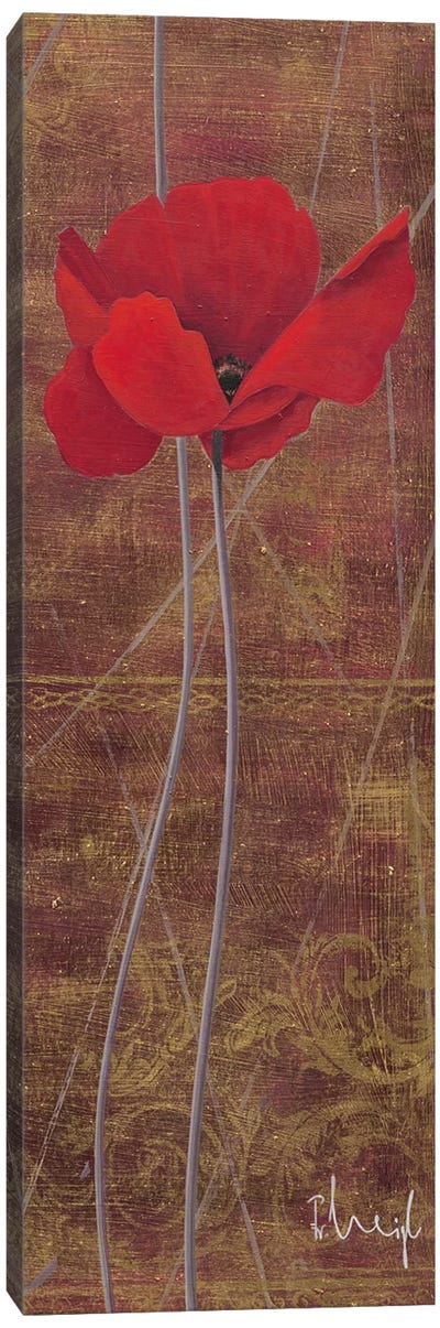 Antique Red I Canvas Art Print - Franz Heigl