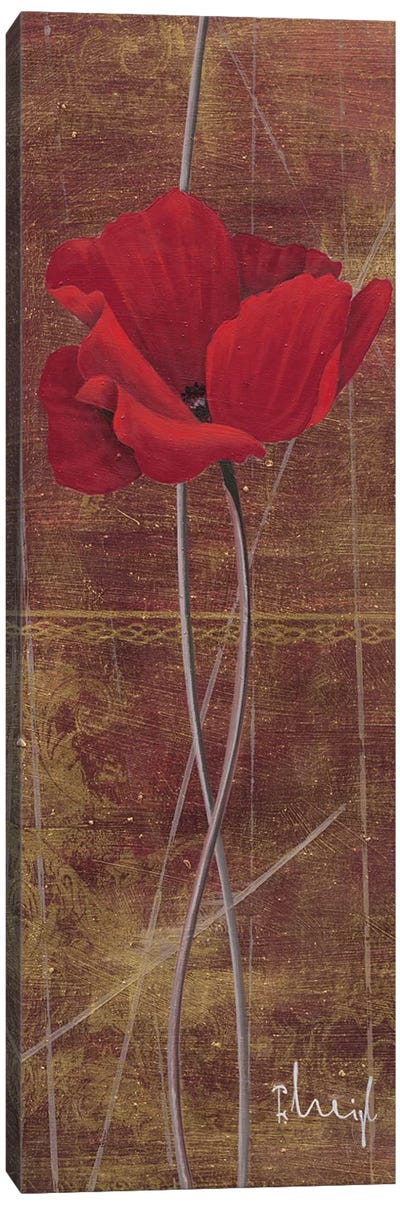 Antique Red II Canvas Art Print - Franz Heigl