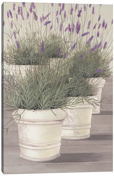 Lavender Canvas Art Print - Mediterranean Décor