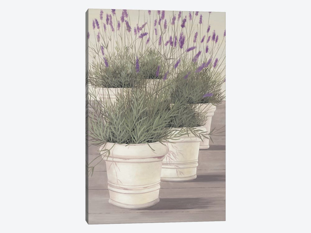 Lavender by Franz Heigl 1-piece Canvas Print