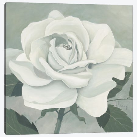 Rose One Canvas Print #HEI9} by Franz Heigl Canvas Wall Art