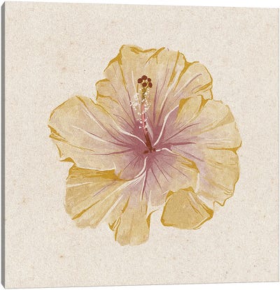 Hibiscus Flower Canvas Art Print - Hibiscus Art