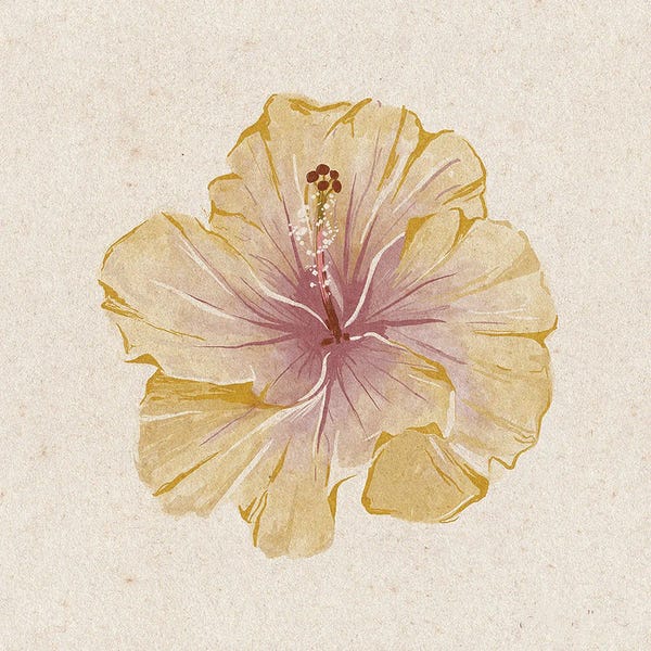 Helina Ekanem: Hibiscus Flower by Helina Ekanem
