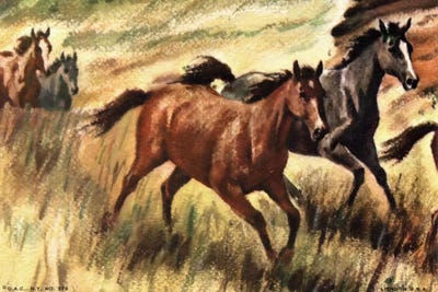 Gee-Gees Go Galloping by Hemingway Design framed canvas print