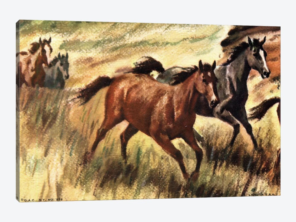 Gee-Gees Go Galloping 1-piece Canvas Art