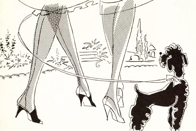 Stockings And A Poodle