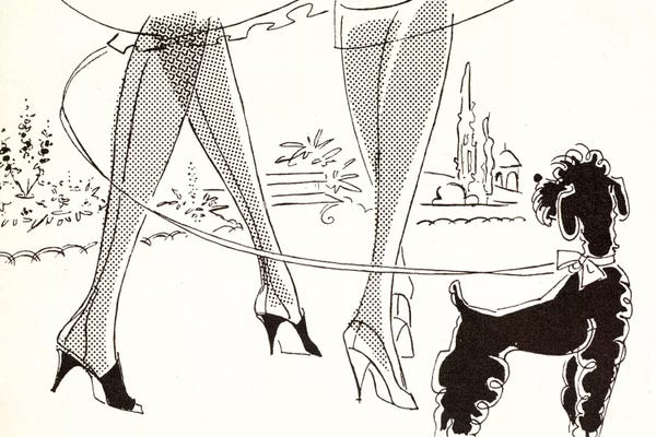 Poodles: Stockings And A Poodle by Hemingway Design
