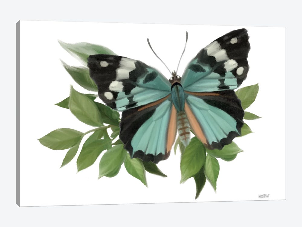 Botanical Butterfly Common Gem by House Fenway 1-piece Canvas Art