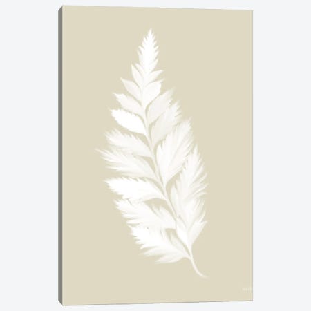 Botanical White Fern Canvas Print #HFE102} by House Fenway Canvas Art Print