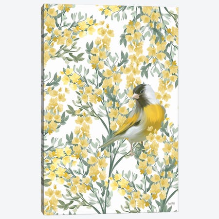 Yellow Spring Finch Canvas Print #HFE214} by House Fenway Canvas Art
