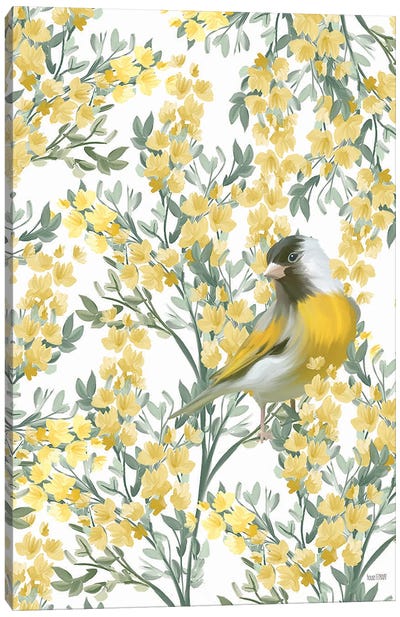 Yellow Spring Finch Canvas Art Print - House Fenway