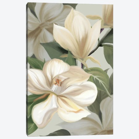 Magnolia Blossoms I Canvas Print #HFE222} by House Fenway Canvas Wall Art
