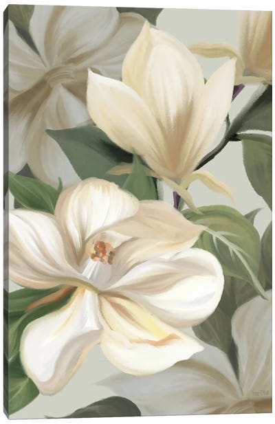 Magnolia Blossoms I Canvas Art Print - House Fenway