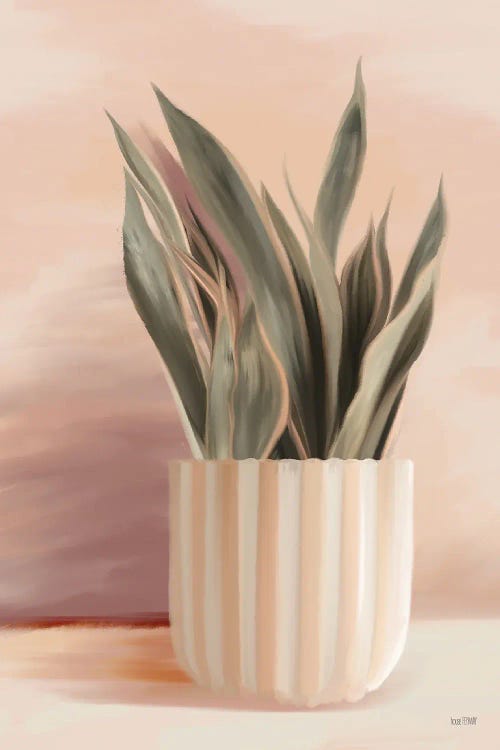 Striped Bohemian Plant II