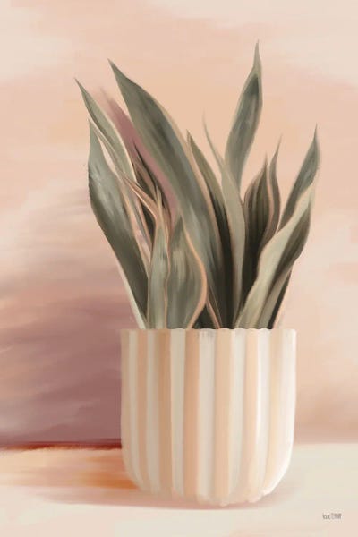 House Fenway: Striped Bohemian Plant II by House Fenway