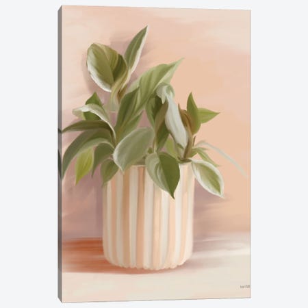 Striped Bohemian Plant I Canvas Print #HFE238} by House Fenway Canvas Art Print